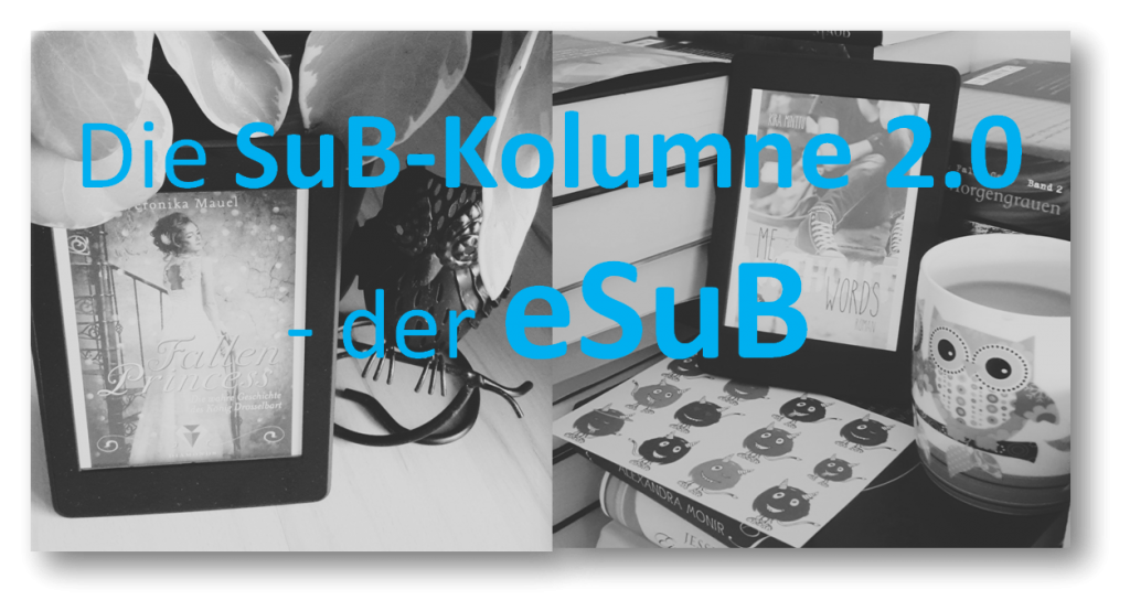 Die SuB-Kolumne 2.0 - der eSuB